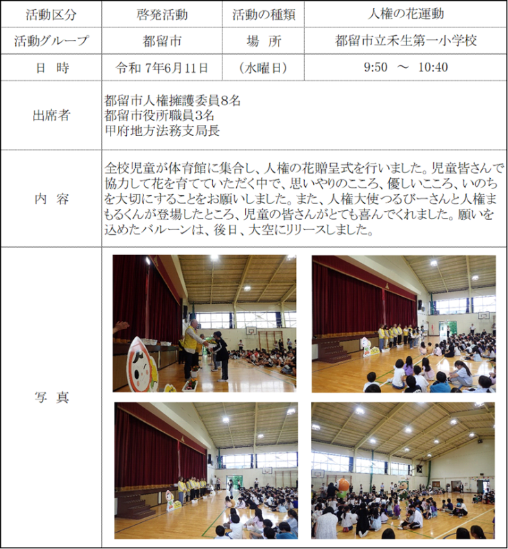 report20250611.png